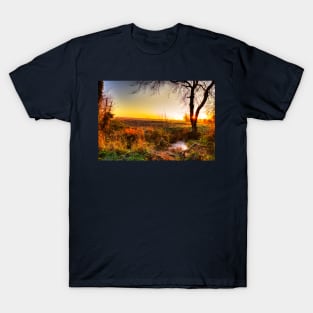 Sunrise Down By The Stream T-Shirt